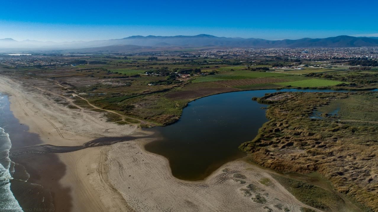 Informe Delimitación y Caracterización de Usos del Humedal Desembocadura del Río Elqui y sus Subcuencas Aportantes, Región de Coquimbo